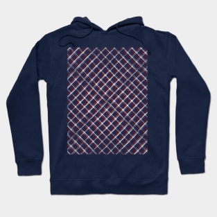 Thin Lines Blue Red White Plaid Hoodie